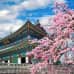 Photo of SIT Study Abroad: South Korea - Culture and Society