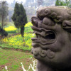 A student studying abroad with USAC: Chengdu - Chinese Language and Culture Studies