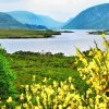 A student studying abroad with Queen's University Belfast: Belfast - Direct Enrollment & Exchange
