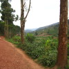 A student studying abroad with SIT Rwanda: Post-Genocide Restoration & Peacebuilding