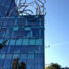 A student studying abroad with Direct Enrollment: London - Goldsmiths, University of London