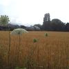 A student studying abroad with SIT Switzerland: International Studies and Multilateral Diplomacy - Summer