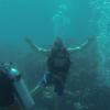 A student studying abroad with GlobaLinks Learning Abroad: Sydney - University of Sydney