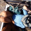 A student studying abroad with Round River Conservation Studies - Namibia Desert Program