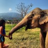 A student studying abroad with The Education Abroad Network (TEAN): Thailand - Semester in Chiang Mai