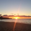 A student studying abroad with The Education Abroad Network (TEAN): Sydney - University of New South Wales