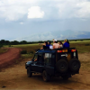 A student studying abroad with The School for Field Studies / SFS: Kenya & Tanzania - Wildlife Management Studies