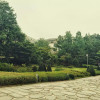 A student studying abroad with Ewha Womans University: Seoul - International Co-ed Summer College