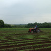 A student studying abroad with Study Abroad Programs in Ireland