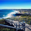A student studying abroad with The Education Abroad Network (TEAN): Australia Internship Program