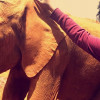 A student studying abroad with United States International University in Kenya: Nairobi - Direct Enrollment & Exchange