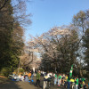 A student studying abroad with Middlebury Schools Abroad: Middlebury in Tokyo