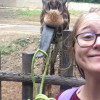 A student studying abroad with The Education Abroad Network (TEAN): Thailand - Summer in Chiang Mai