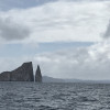 A student studying abroad with IES Abroad Galápagos Islands January Term - Marine Ecosystems