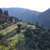 A student studying abroad with CYA (College Year in Athens) - Semester/Academic Year Program