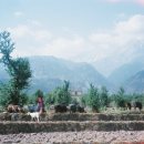SUNY Purchase: Dharamsala - Summer Faculty-Led Program to India Photo