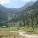 SUNY Purchase: Dharamsala - Summer Faculty-Led Program to India Photo