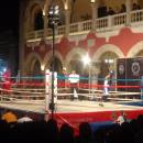 KIIS: Merida - Experience Merida Pre-Professional (Summer) Photo