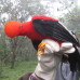 Photo of SIT Study Abroad: Ecuador - Comparative Ecology and Conservation