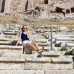 Photo of Webster University: Athens - Odyssey in Athens