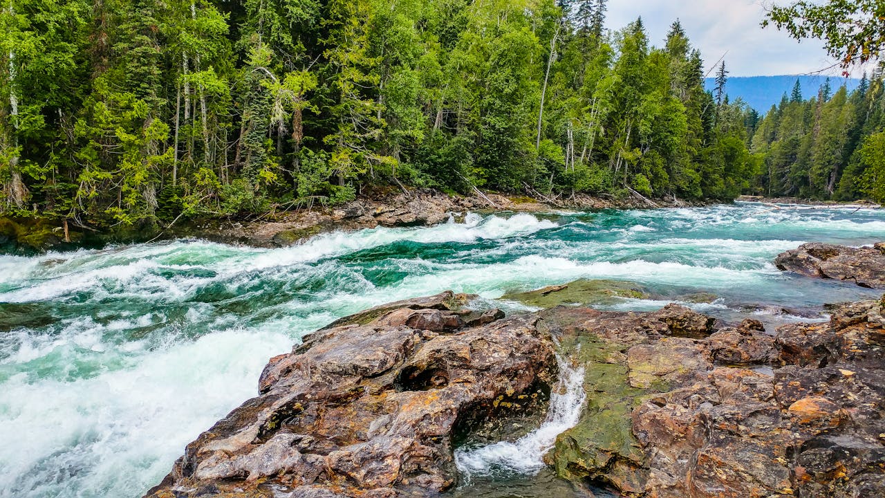 What is Flow Theory?