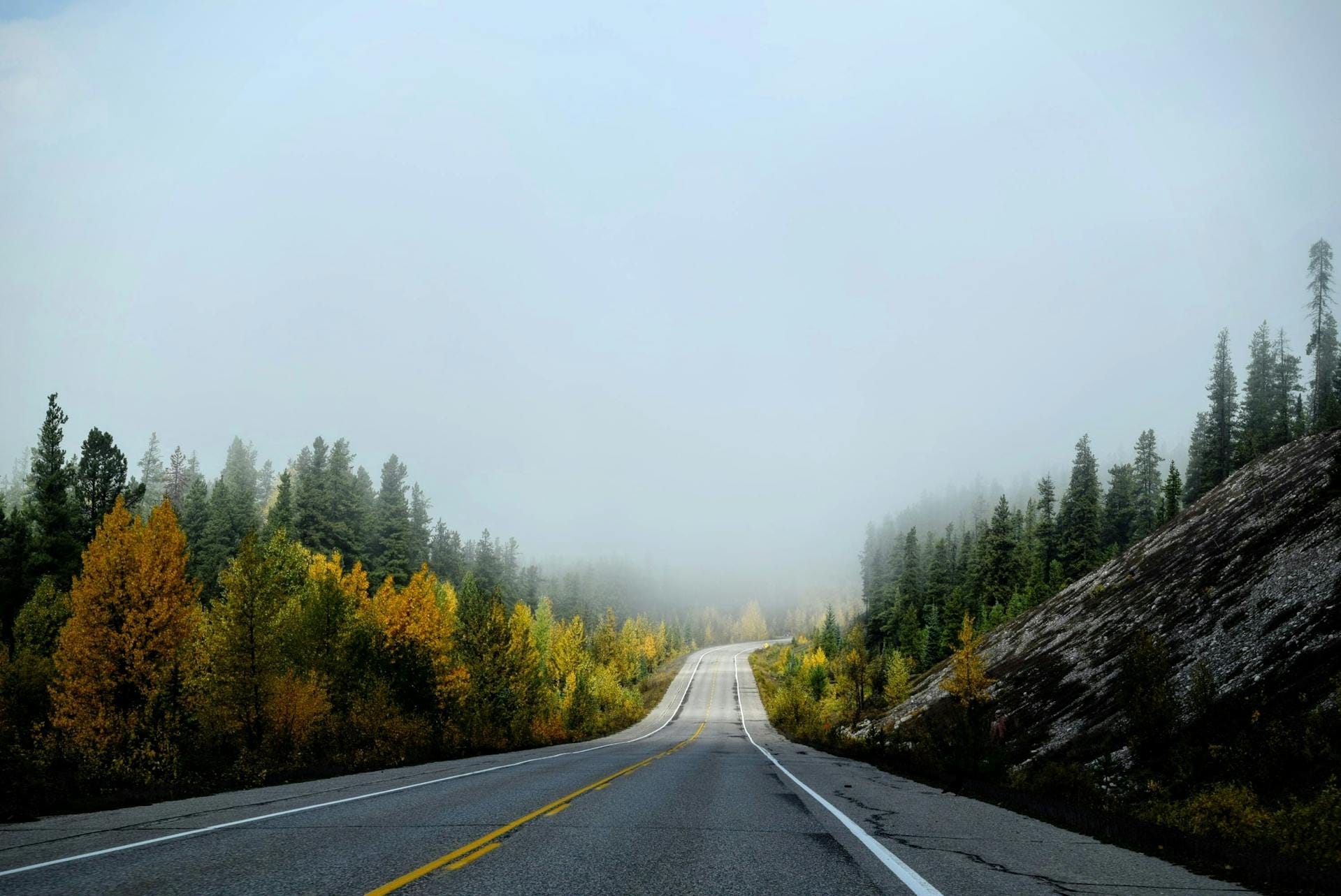 Transactional Distance in the Classroom