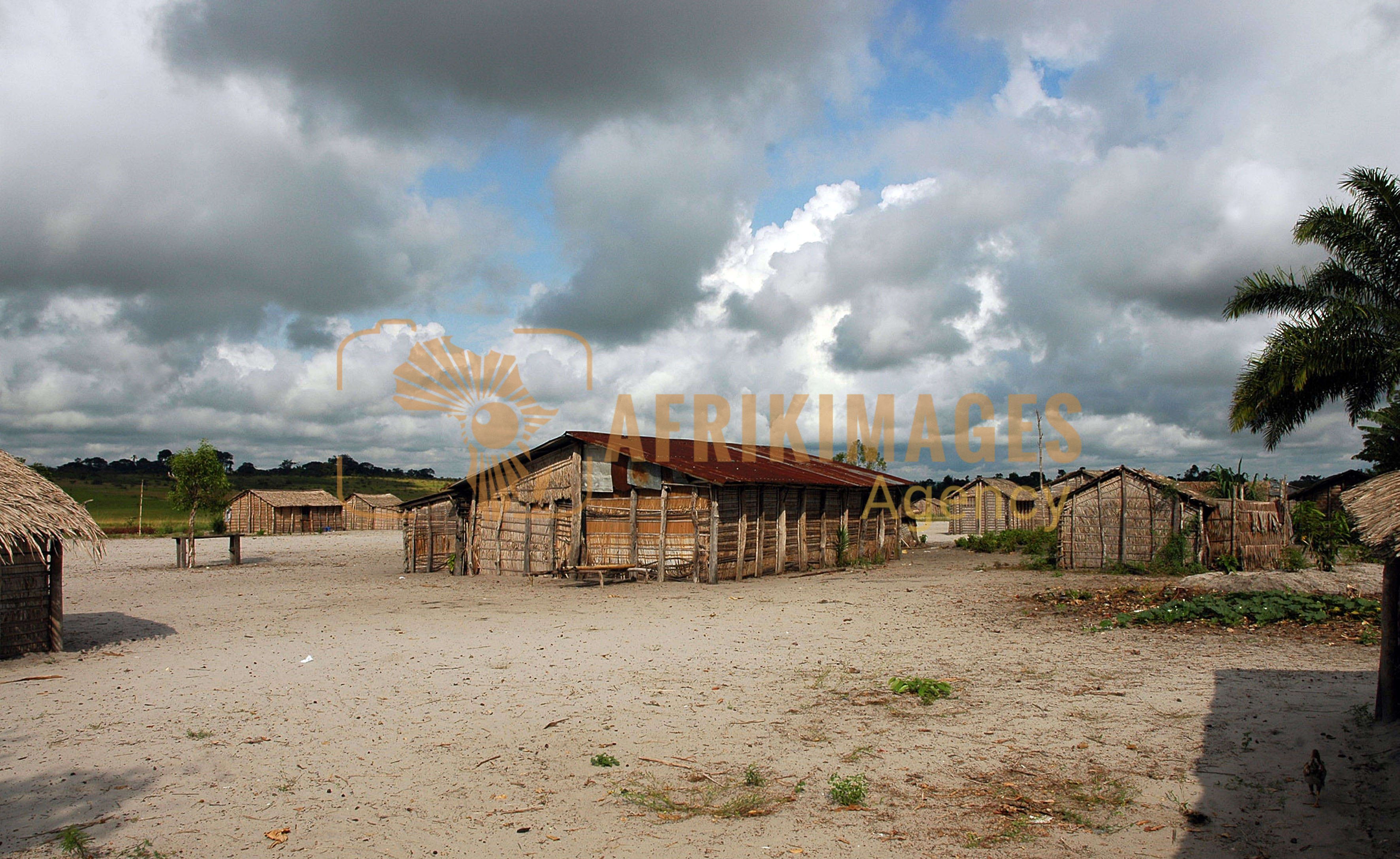 Afrikimages république congo / nature 