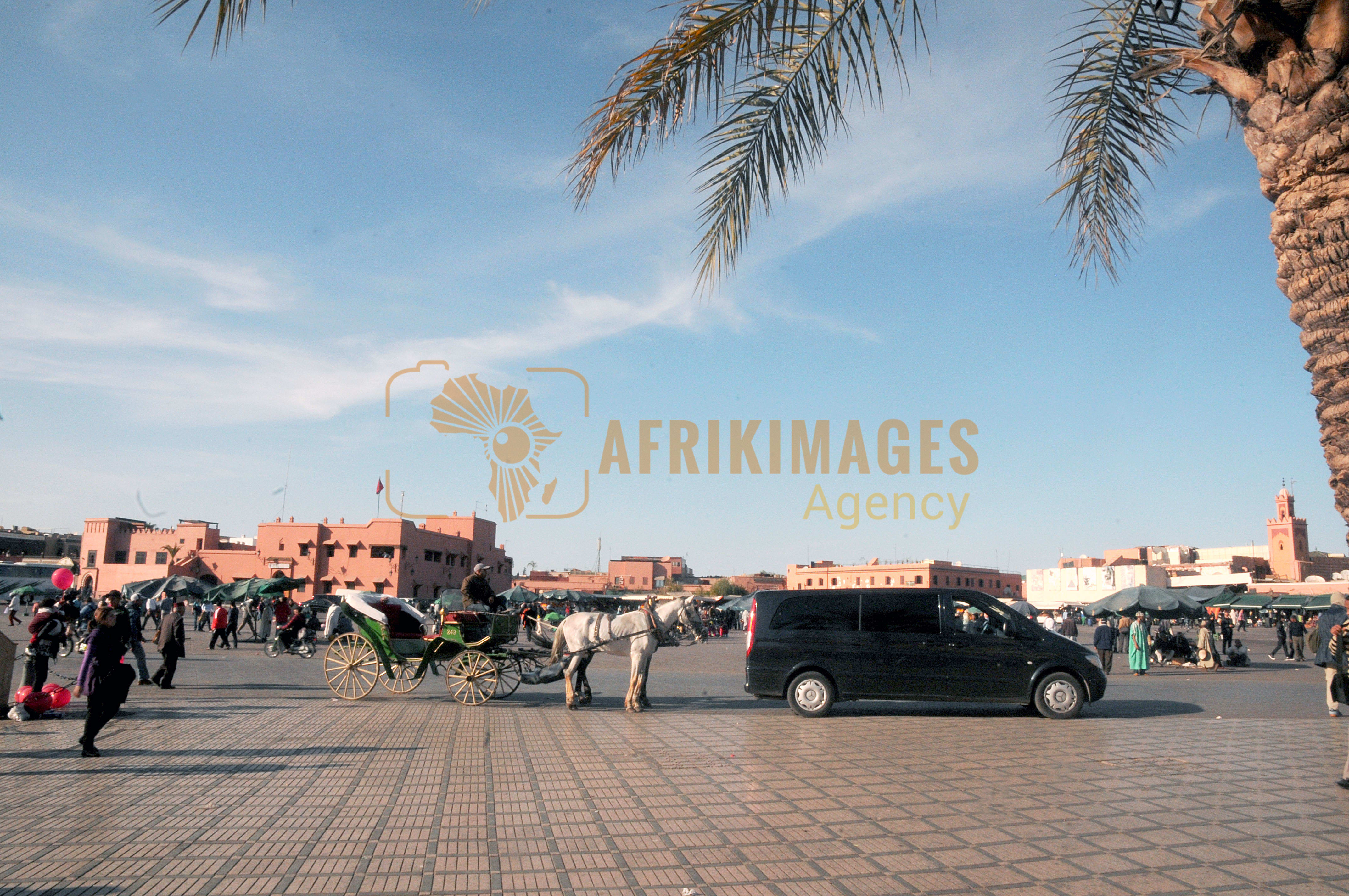 maroc / marrakech