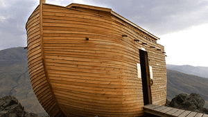 Noah's Hope