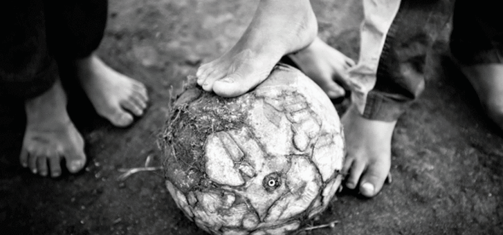 The Rich Sport