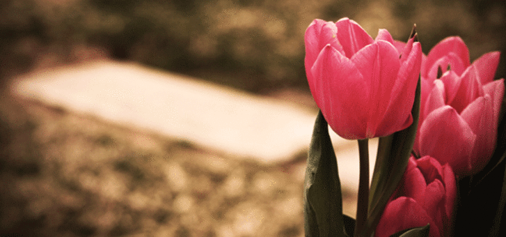 When My Father Died