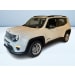 RENEGADE D 1.6 MJET II 130CV 2WD M6 LIMITED MY23
