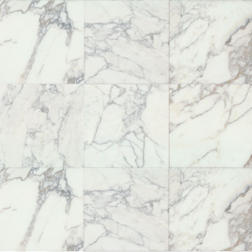 Suave 16" x 16" Smooth Finish Marble Tile in Calacatta Gold