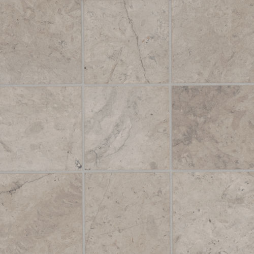 Suave 4" x 4" Smooth Finish Limestone Tile in Chinchilla