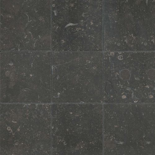 Suave Due 4" x 4" Smooth Finish Limestone Tile in Pecora Nera
