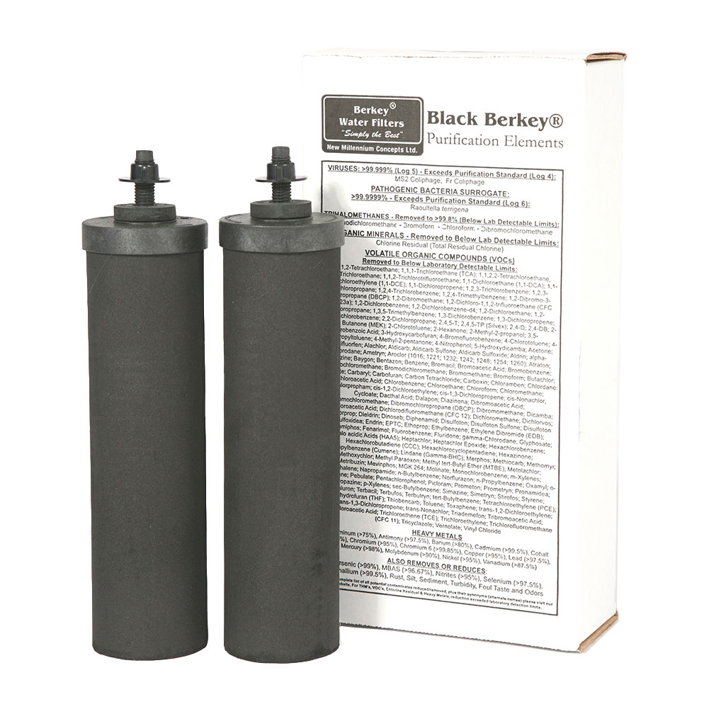 Black Berkey Water Filters