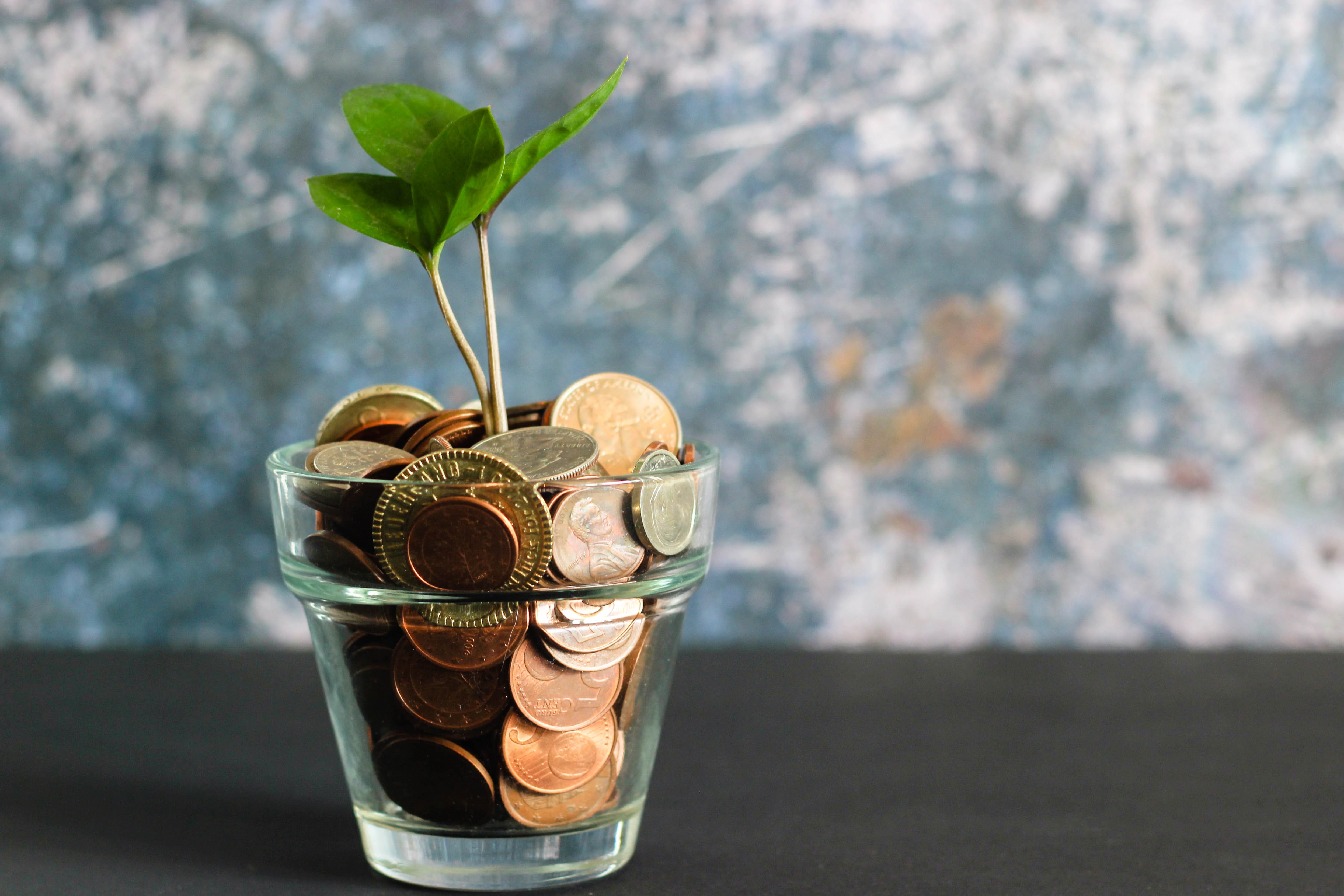 Coins in a cup with a leaf sprouting from them