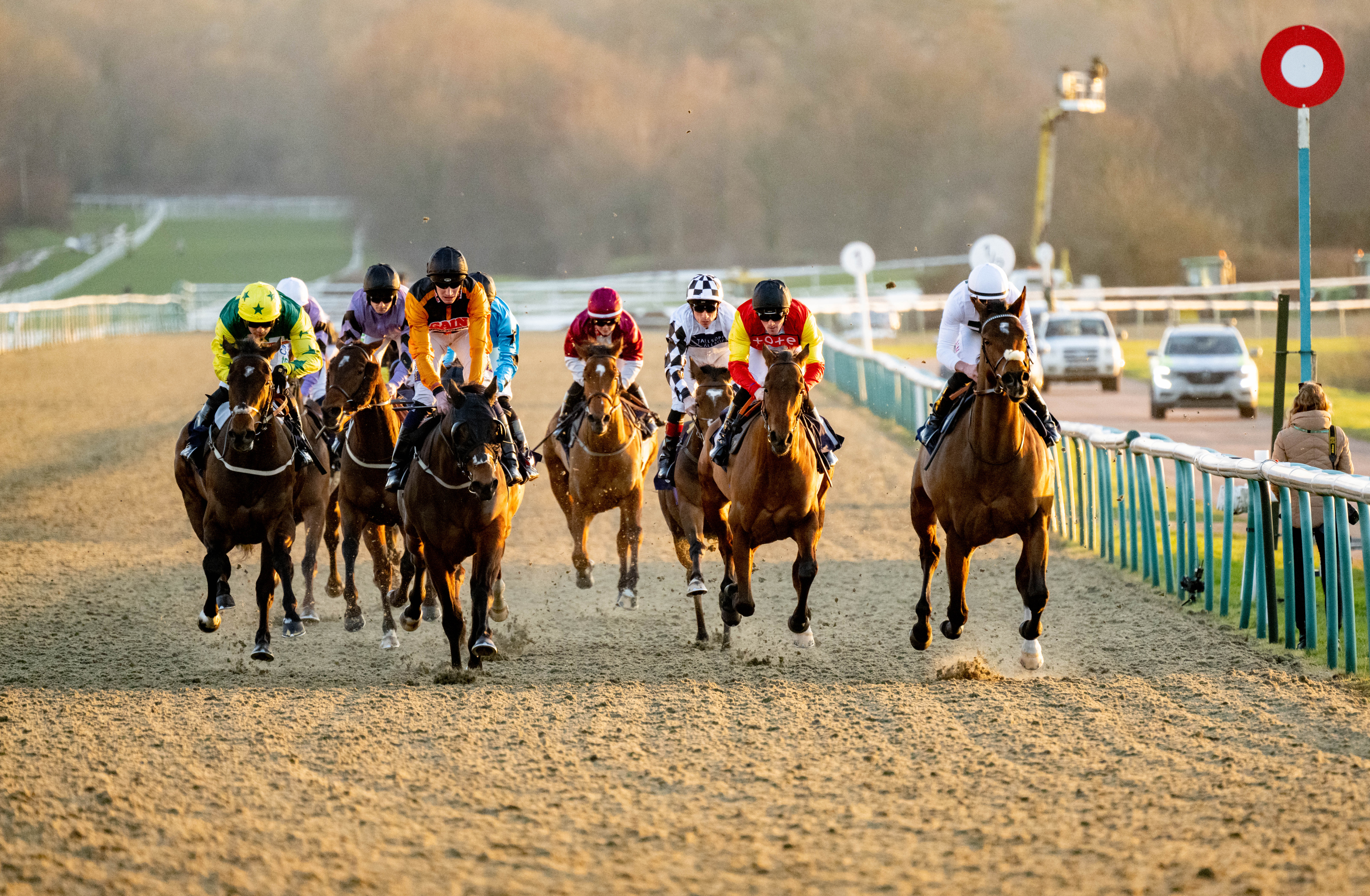 Lingfield Park Saturday Racedays 2026