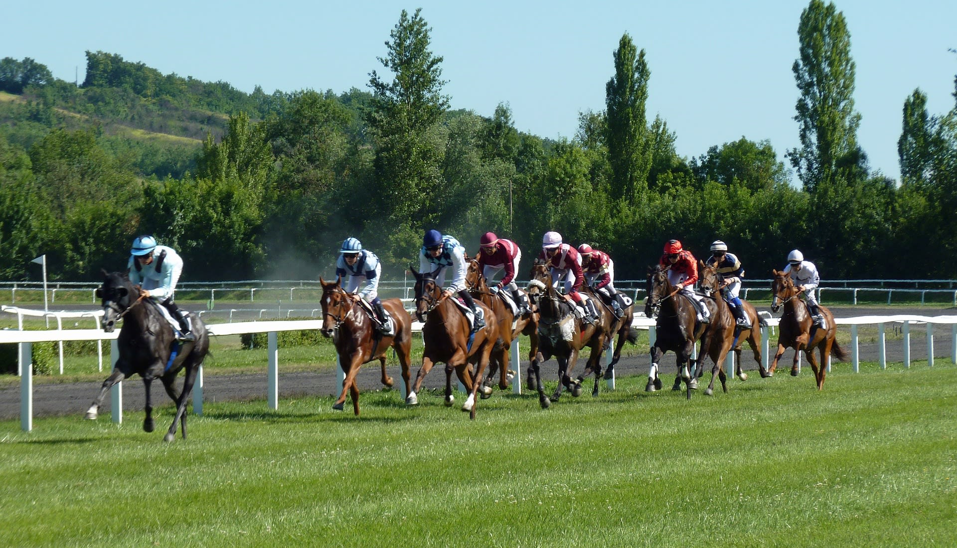 Horses racing down the home straight