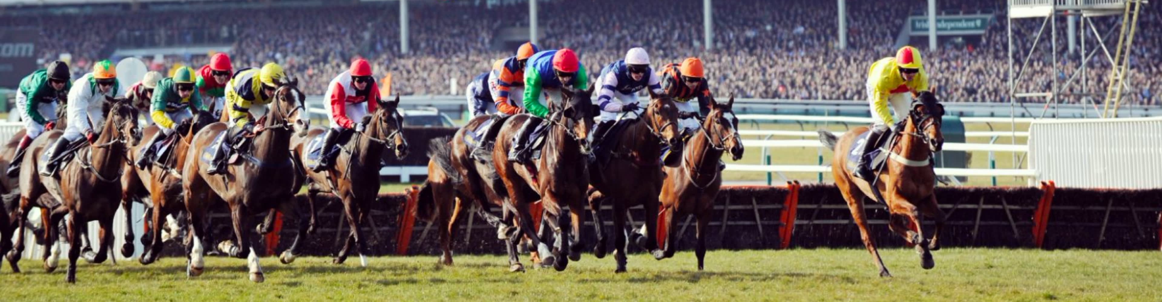 Cheltenham Festival Fever: Where to Watch Horse Racing in Style After Cheltenham