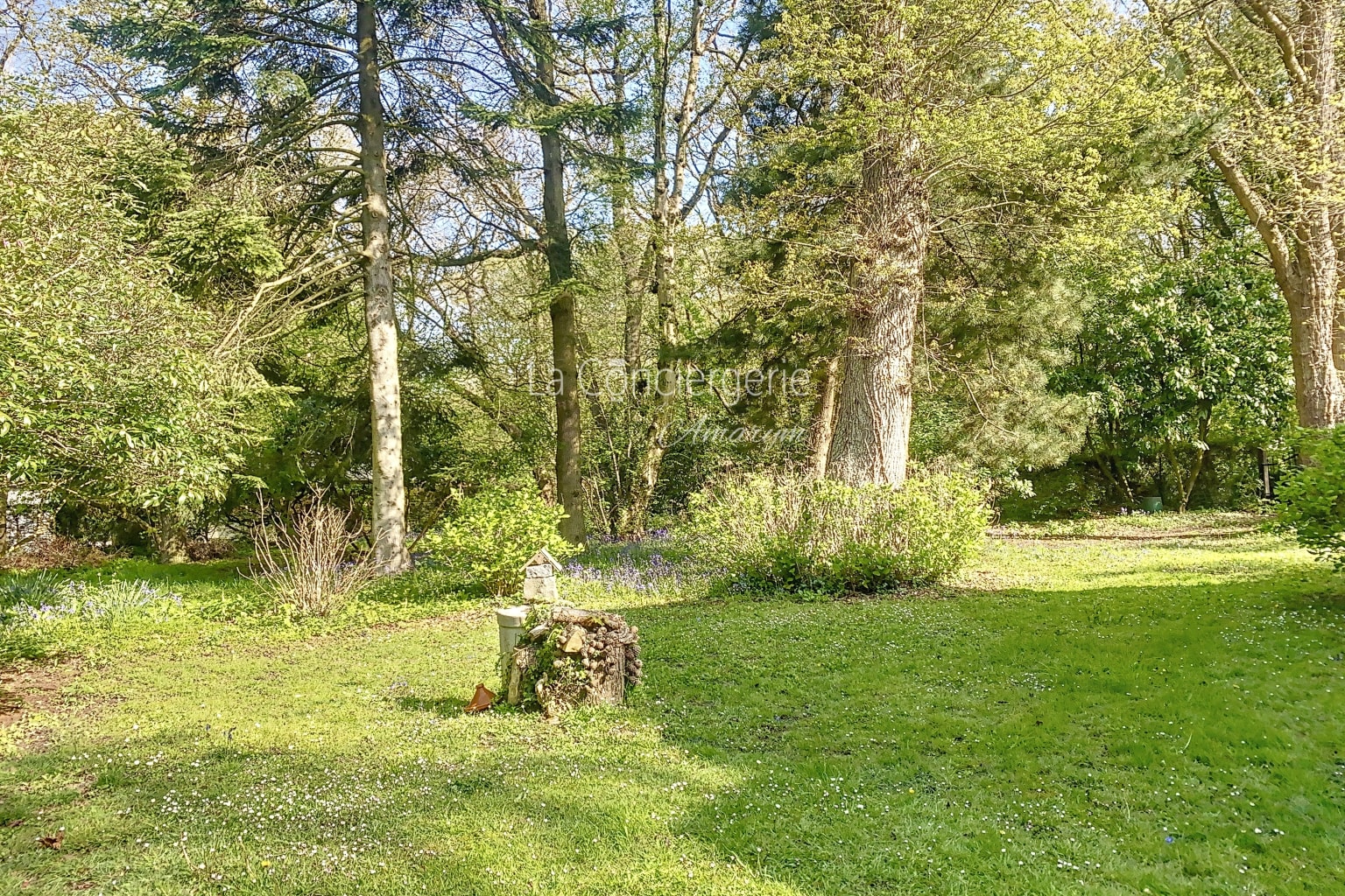 BG 32 - Mer & Bois de Cise, vue 37