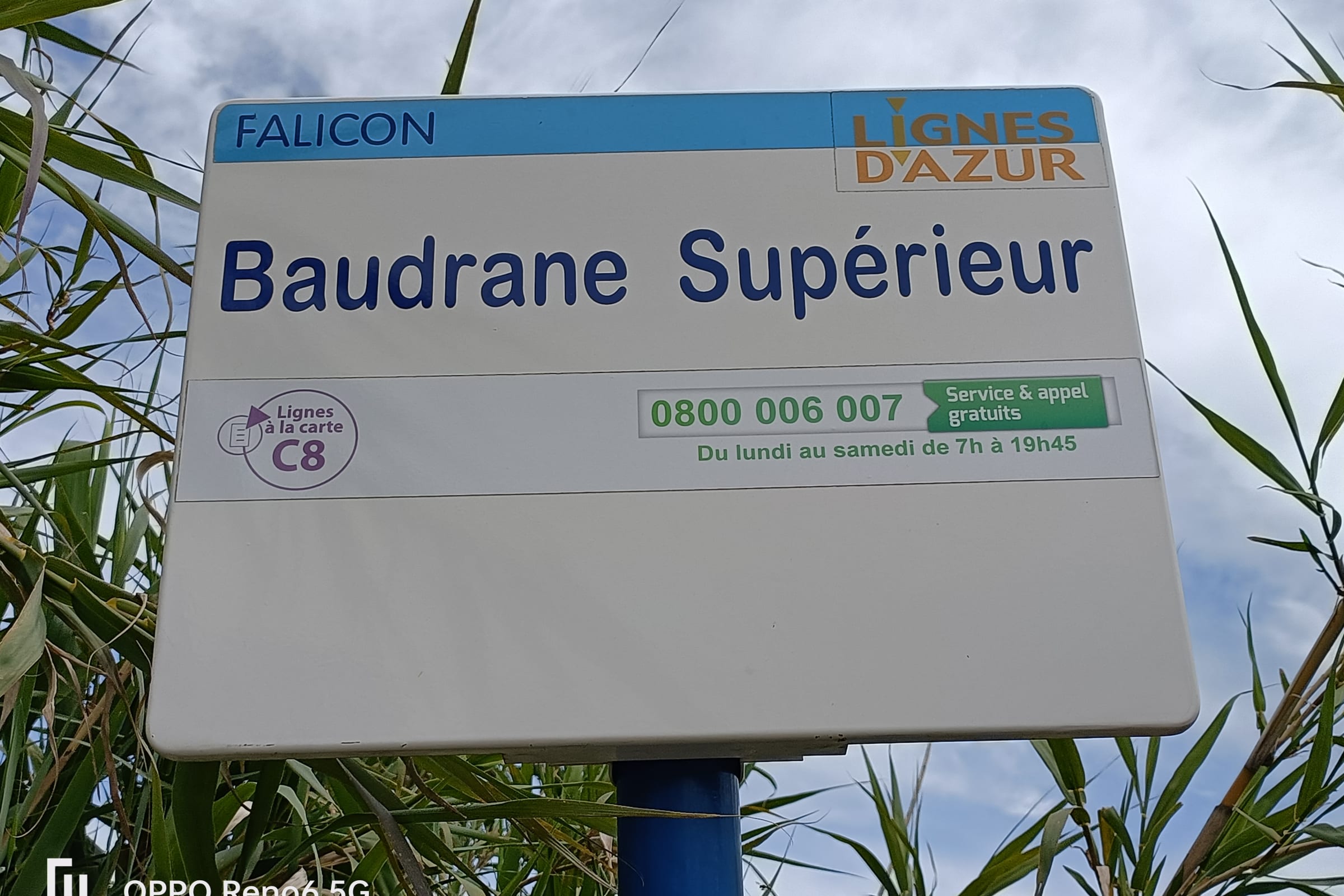 T2 4P FALICON WC - LA BERGERIE