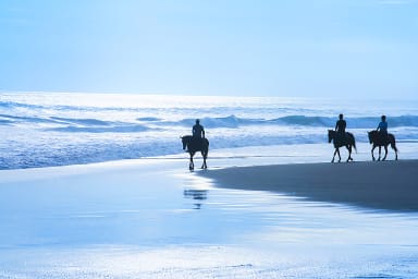 Sea Horse Ranch Horseback riding on the beach in Half Moon Bay