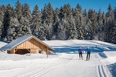 Ski de fond