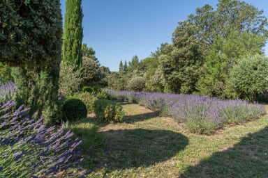 Fabulous country house to rent in the heart of lavender fields in Bonnieux
