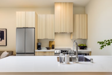 Full kitchen: Nespresso, fridge, stove/oven, plates and utensils,dishwasher