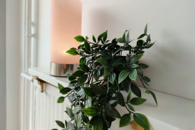Décoration d'ambiance