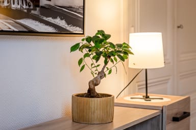 Décoration d'ambiance