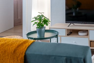 Décoration d'ambiance