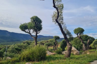 Gardens of the residence